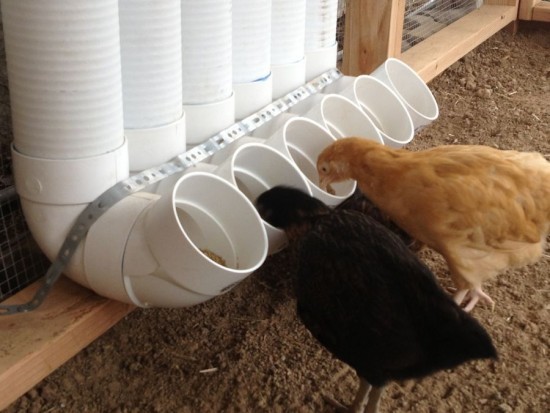 تجهیزات پرورش مرغ بومی : دانخوری ساختنی