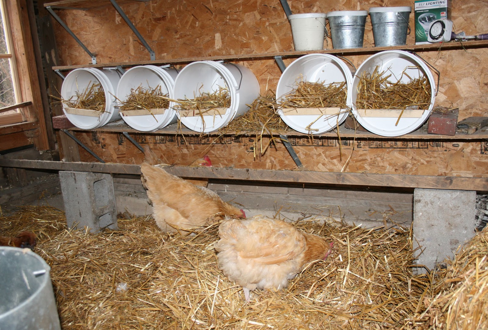 تجهیزات پرورش مرغ رسمی / لانه های تخمگذاری در پرورش مرغ بومی تخمگذار