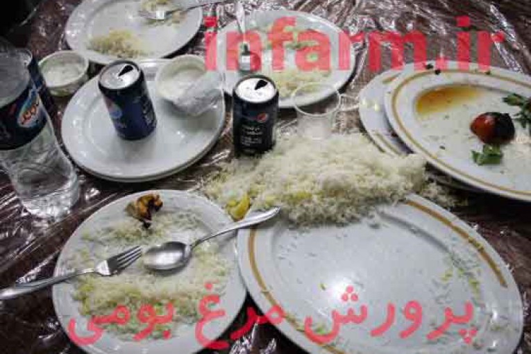 ضایعات رستورانها در تغذیه مرغ بومی