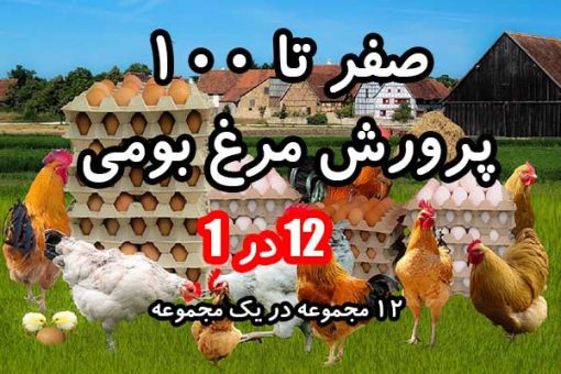 خودآموز پرورش صفر تا 100 مرغ بومی